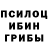 Галлюциногенные грибы мухоморы Fox0606