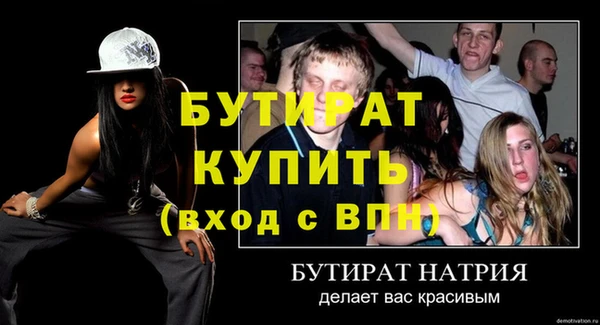 сатива Бородино