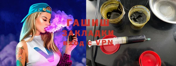 сатива Бородино