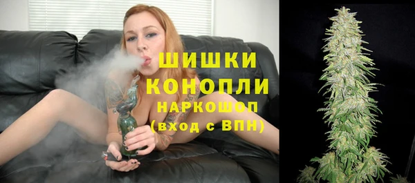 сатива Бородино