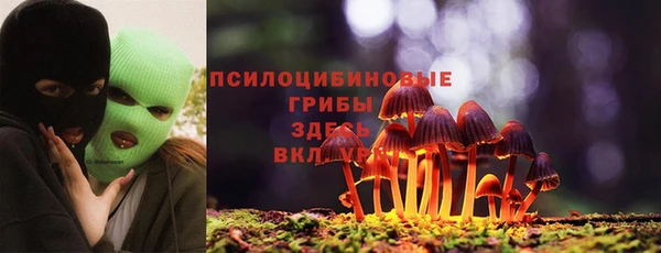 сатива Бородино