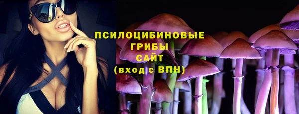 сатива Бородино
