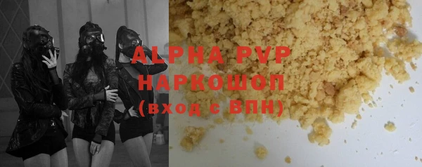 сатива Бородино