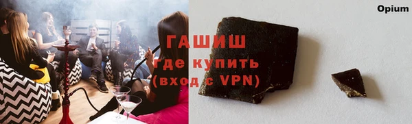 сатива Бородино