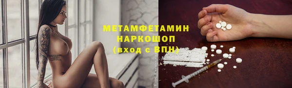 сатива Бородино