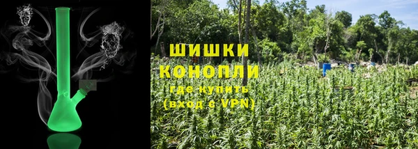 ГАЛЛЮЦИНОГЕННЫЕ ГРИБЫ Бугульма